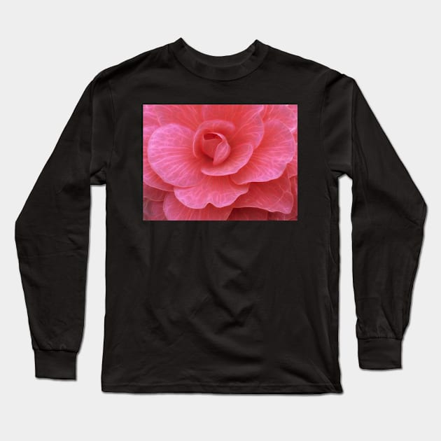 frilly dark and light pink begonia plant in closeup glowing to show petal veins Long Sleeve T-Shirt by mister-john